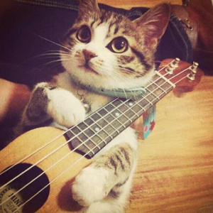 欧美喷水肛交TV
